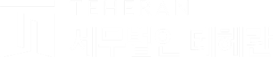 세무법인 테헤란 푸터 로고